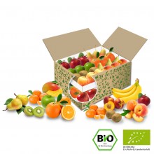 Große BIO Buerobox Premium